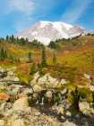 USA-Washington State-Mount Rainier National Park Mount Rainier and fall color-with Edith Creek Art Print